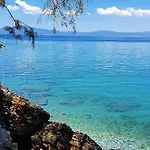 Julia's Kalamata