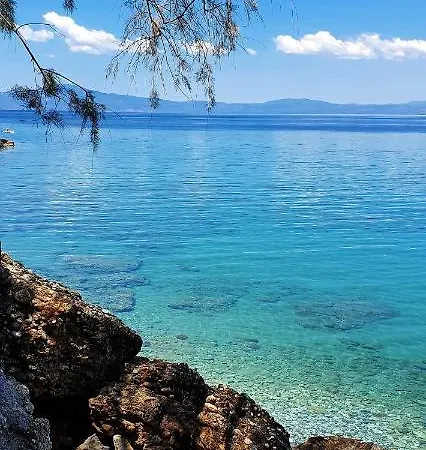 Julia's Kalamata
